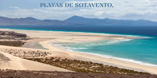 fuerteventura o tenerife