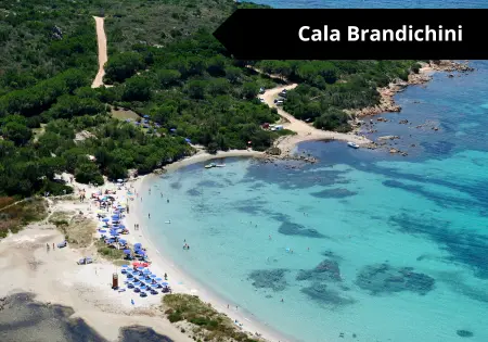 noleggio auto sardegna olbia